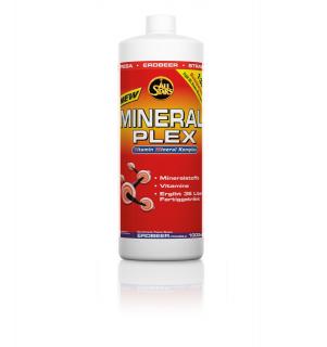 All Stars Mineral Plex + L-Carnitin, 1 Liter Flasche